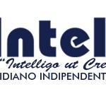 Liste Civetta prendono il volo giudiziario. “Ufficializzato” il nostro spiffero